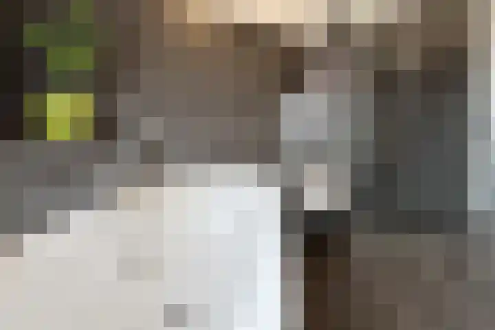 Rosmolen 24 Zevenbergen thumbnail 37