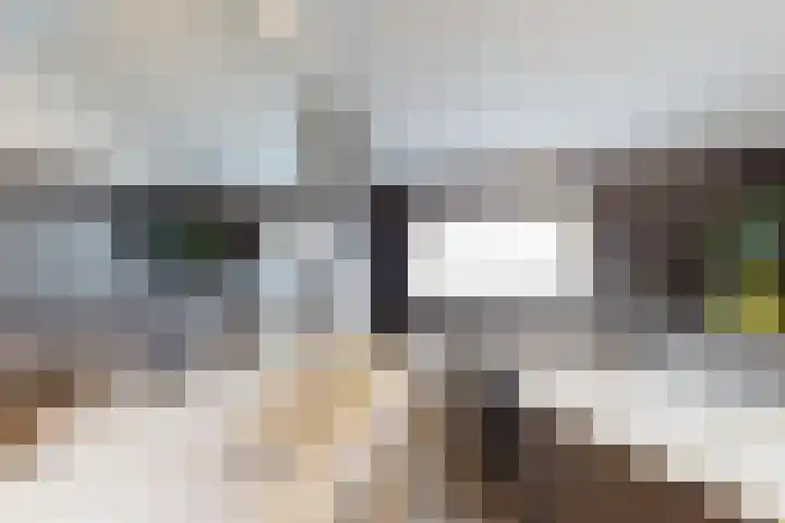 Rosmolen 24 Zevenbergen thumbnail 38