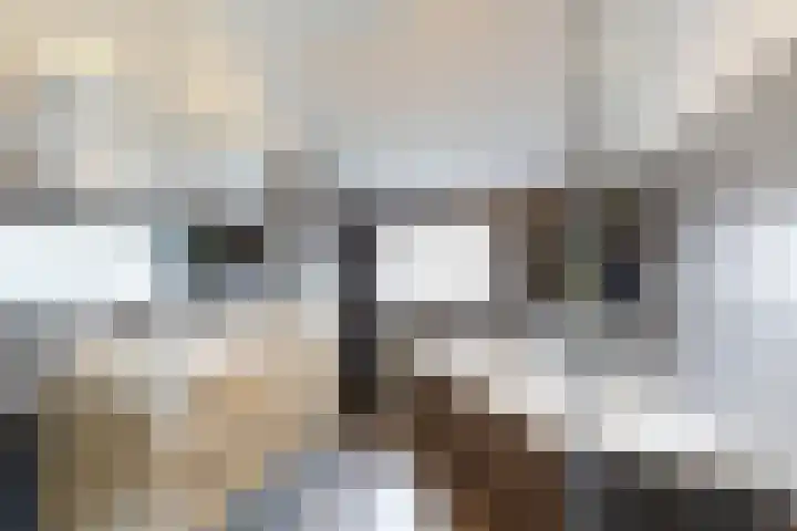 Rosmolen 24 Zevenbergen thumbnail 39
