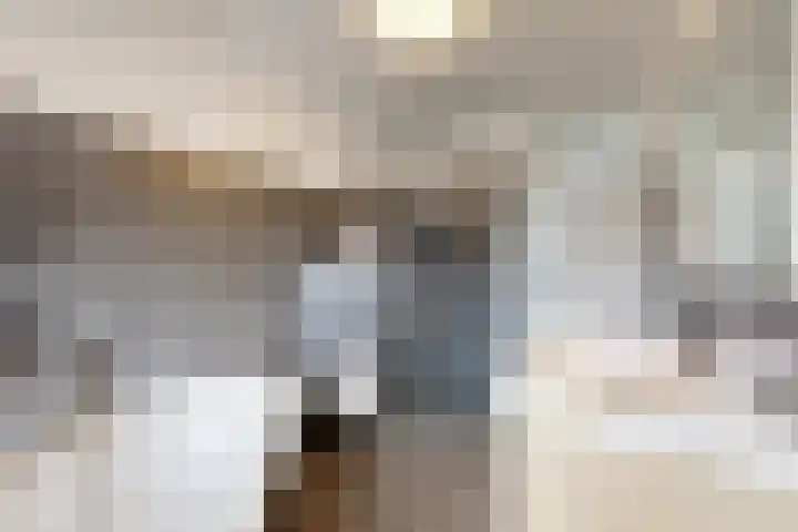 Rosmolen 24 Zevenbergen thumbnail 40