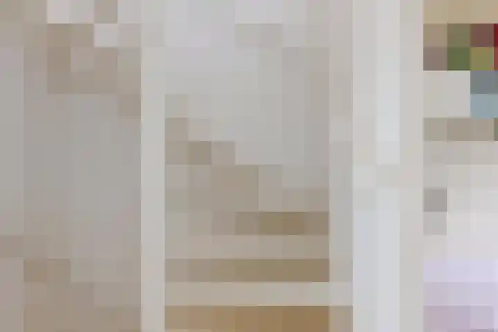 Rosmolen 24 Zevenbergen thumbnail 41