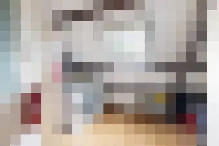 Rosmolen 24 Zevenbergen thumbnail 42