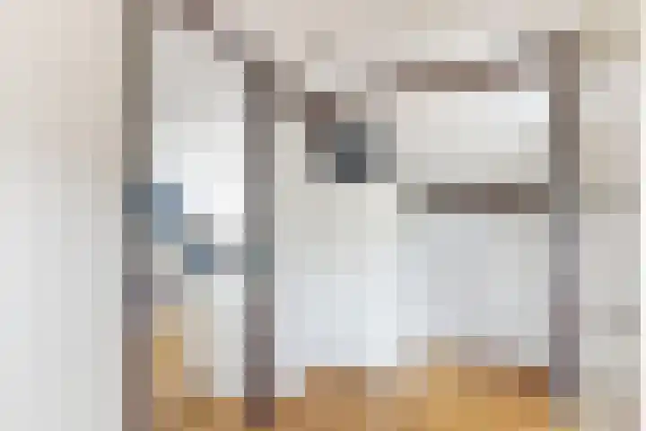 Rosmolen 24 Zevenbergen thumbnail 43