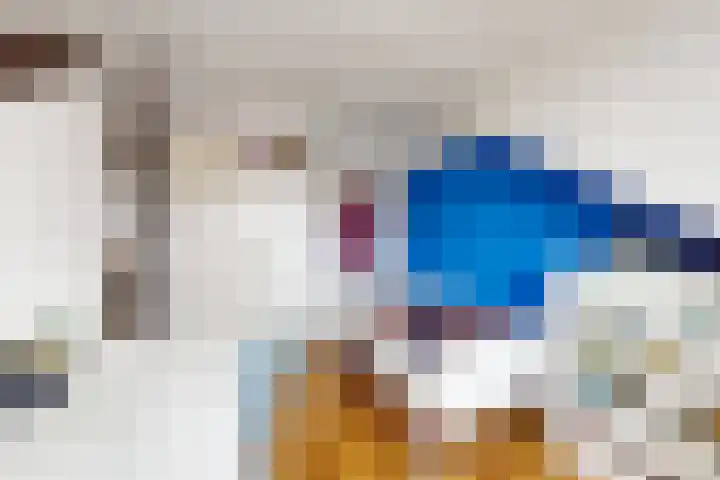 Rosmolen 24 Zevenbergen thumbnail 46