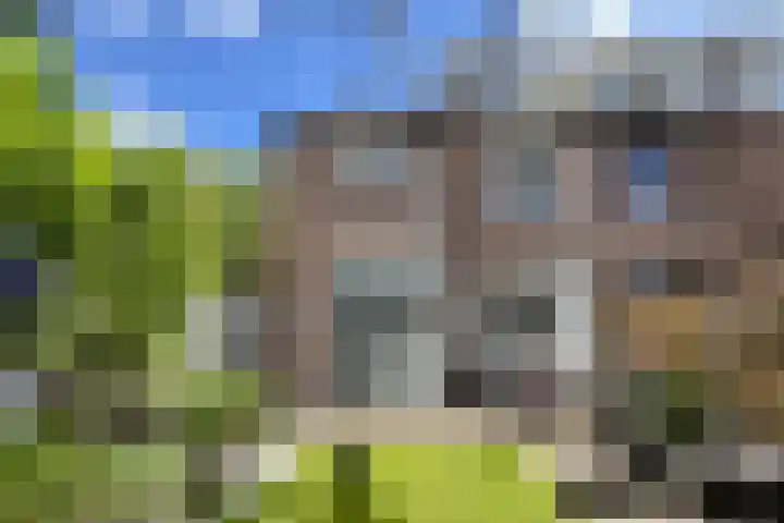 Rosmolen 24 Zevenbergen thumbnail 47
