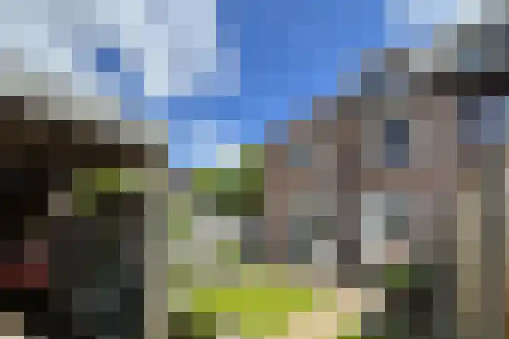 Rosmolen 24 Zevenbergen thumbnail 49