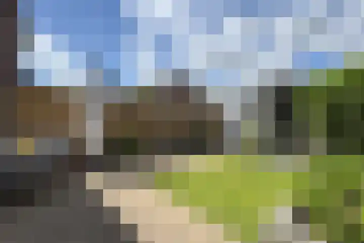 Rosmolen 24 Zevenbergen thumbnail 5