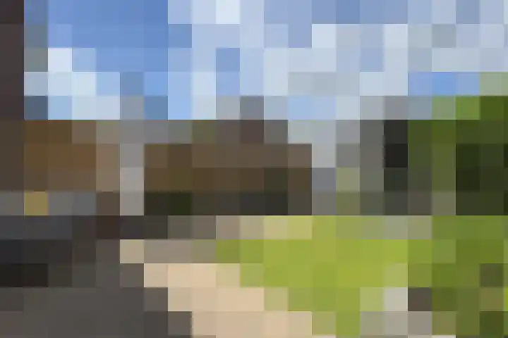 Rosmolen 24 Zevenbergen thumbnail 50