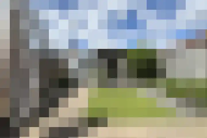 Rosmolen 24 Zevenbergen thumbnail 51