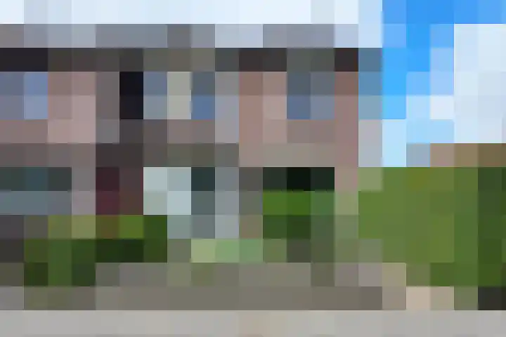 Rosmolen 24 Zevenbergen thumbnail 52