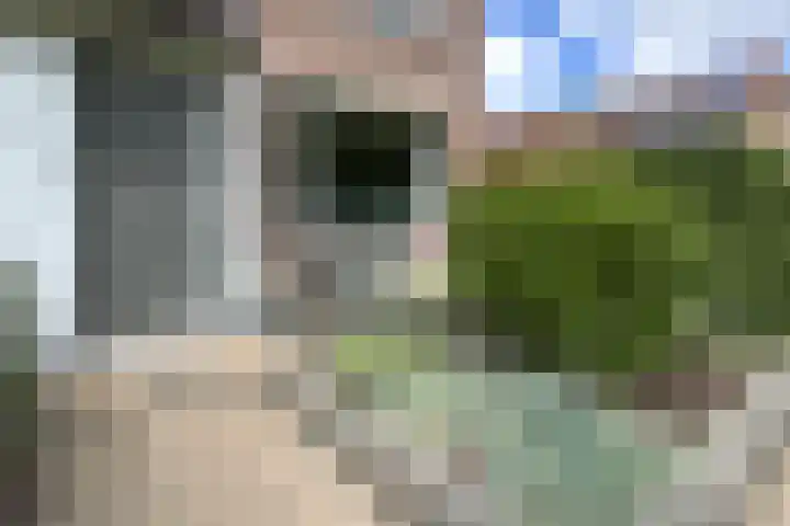 Rosmolen 24 Zevenbergen thumbnail 54