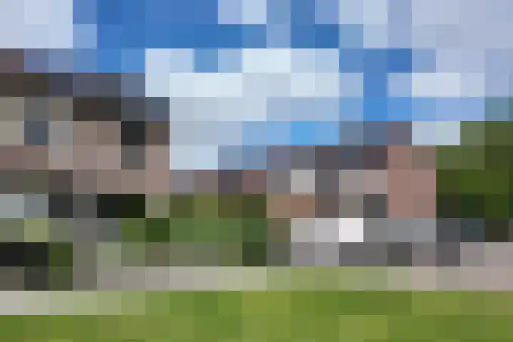 Rosmolen 24 Zevenbergen thumbnail 55