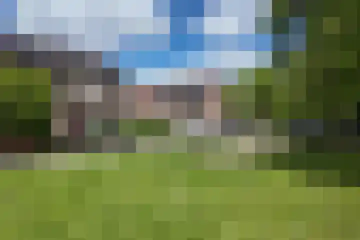 Rosmolen 24 Zevenbergen thumbnail 56