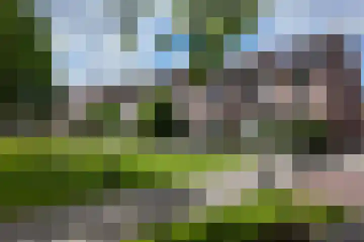 Rosmolen 24 Zevenbergen thumbnail 57