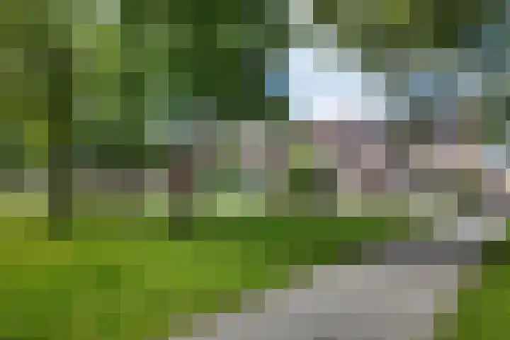 Rosmolen 24 Zevenbergen thumbnail 58