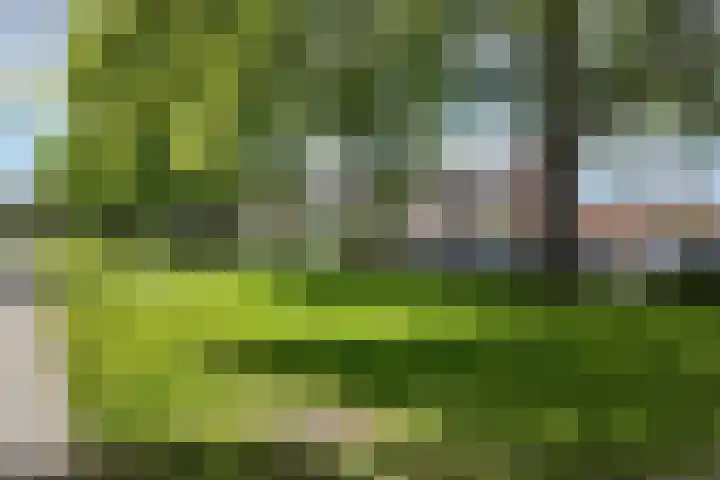 Rosmolen 24 Zevenbergen thumbnail 59