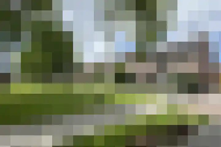 Rosmolen 24 Zevenbergen thumbnail 60