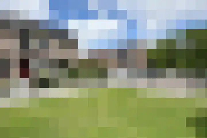 Rosmolen 24 Zevenbergen thumbnail 61