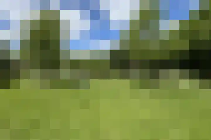 Rosmolen 24 Zevenbergen thumbnail 65