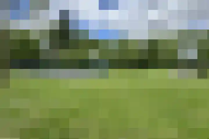 Rosmolen 24 Zevenbergen thumbnail 66