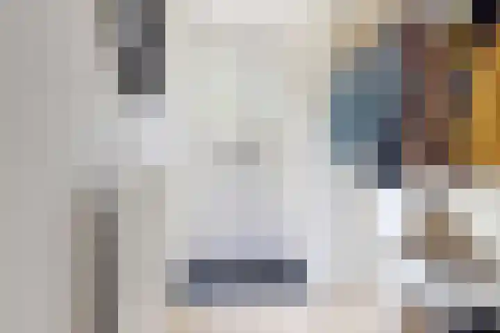 Rosmolen 24 Zevenbergen thumbnail 7
