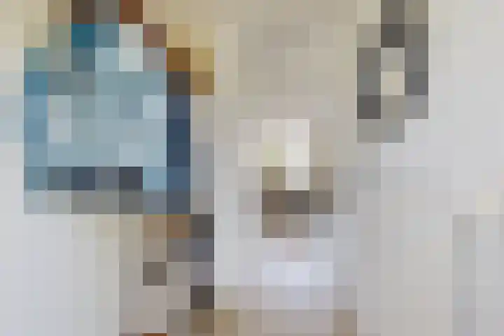 Rosmolen 24 Zevenbergen thumbnail 8