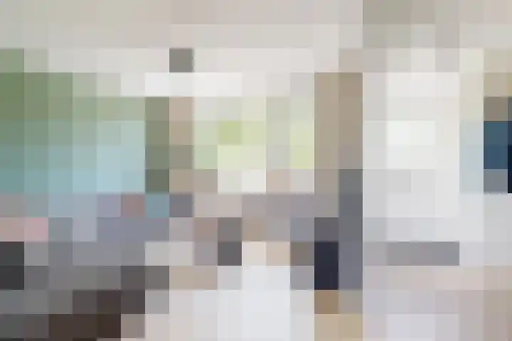 Rosmolen 24 Zevenbergen thumbnail 9