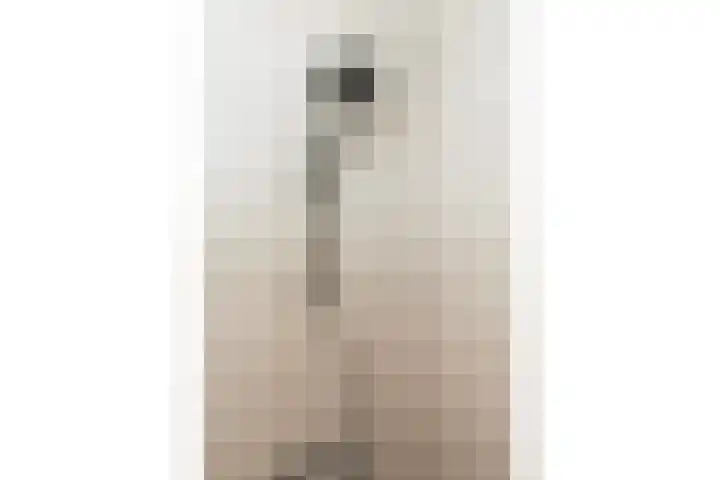 Rosmolen 26 Ridderkerk thumbnail 16
