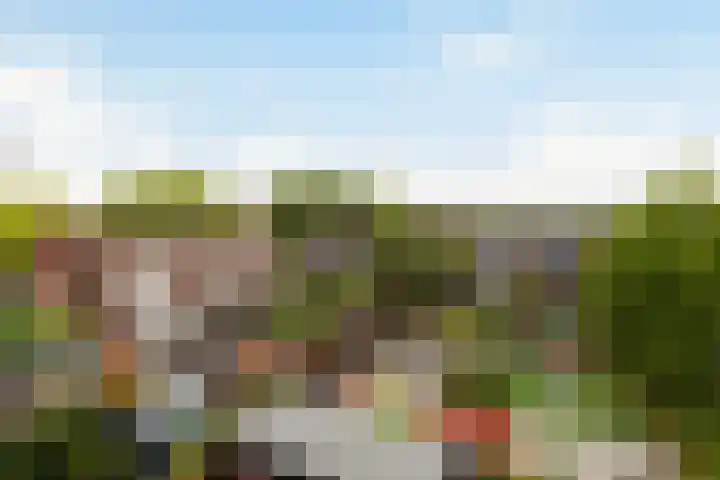 Rosmolen 26 Ridderkerk thumbnail 20