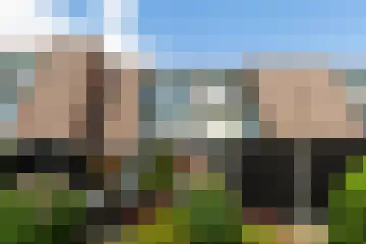 Rosmolen 26 Ridderkerk thumbnail 24