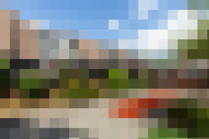 Rosmolen 26 Ridderkerk thumbnail 26