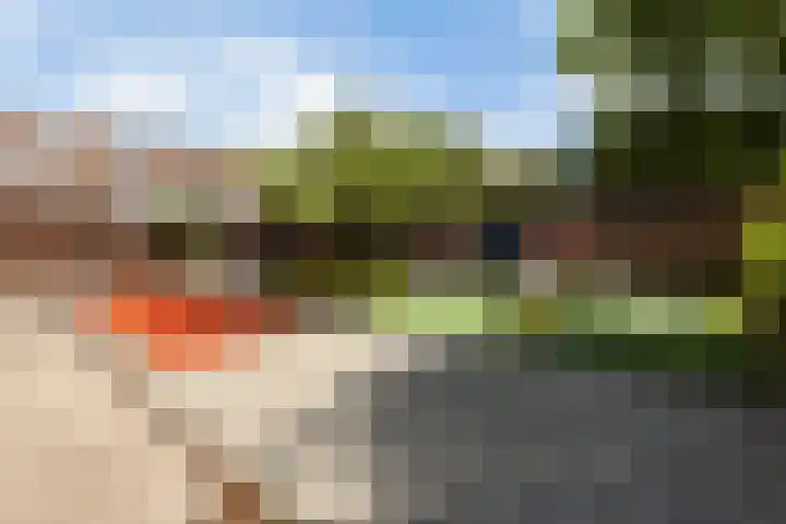 Rosmolen 26 Ridderkerk thumbnail 27