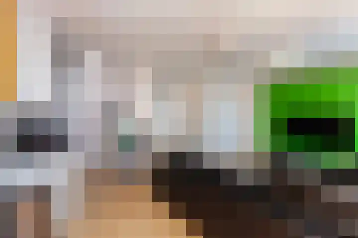 Rosmolen 26 Ridderkerk thumbnail 5