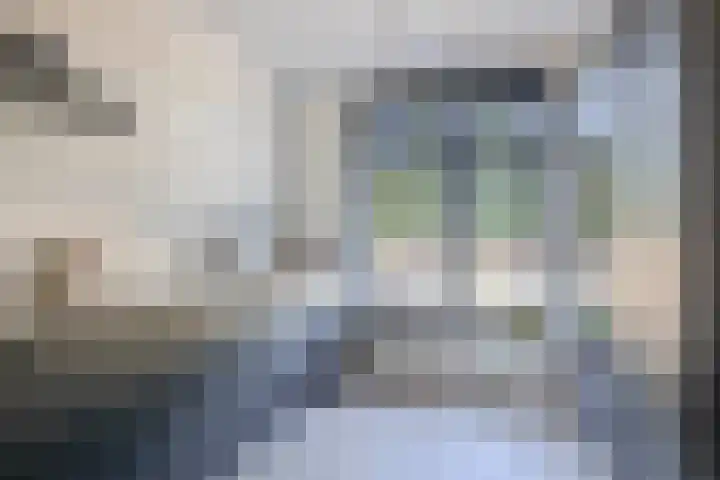Rosmolen 28 Pijnacker thumbnail 10