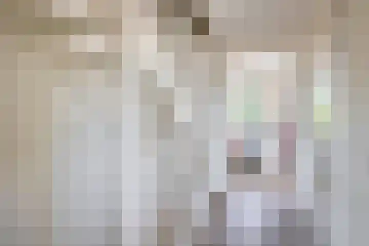 Rosmolen 28 Pijnacker thumbnail 17