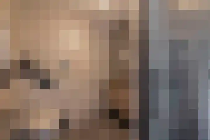 Rosmolen 28 Pijnacker thumbnail 21