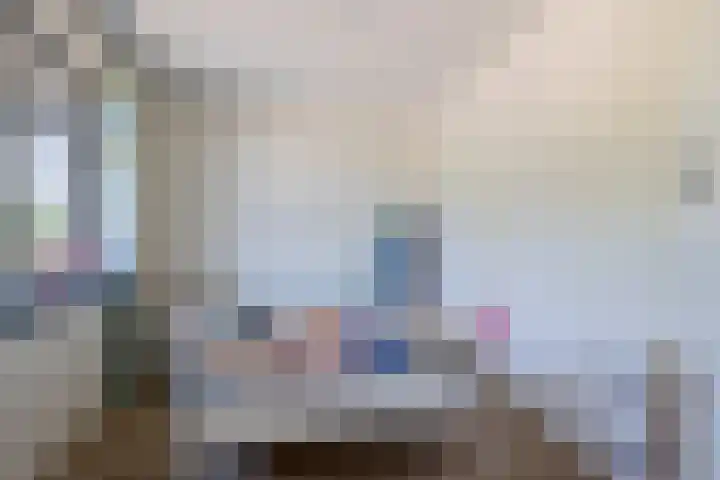 Rosmolen 28 Pijnacker thumbnail 26