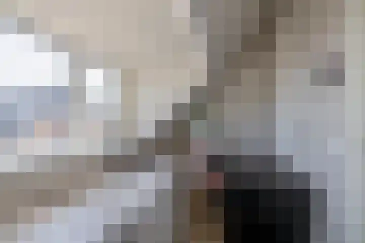 Rosmolen 28 Pijnacker thumbnail 33