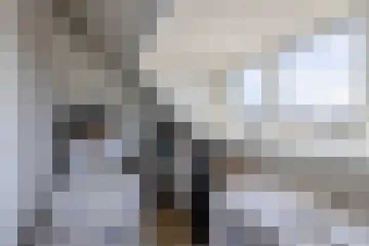 Rosmolen 28 Pijnacker thumbnail 34