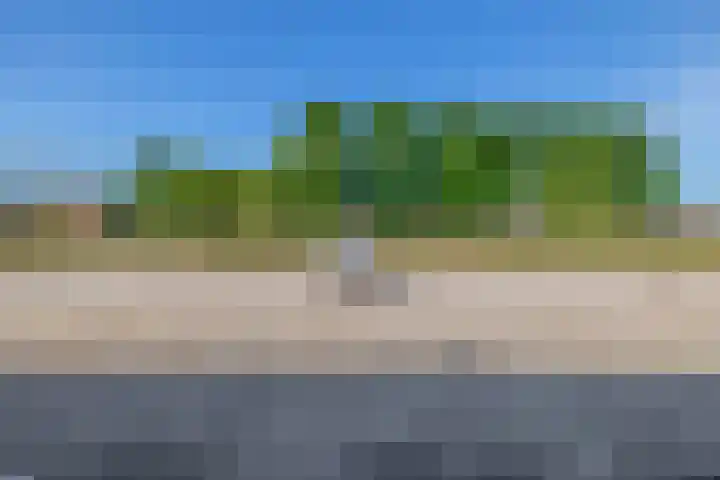 Rosmolen 28 Pijnacker thumbnail 39