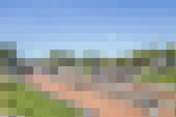 Rosmolen 28 Pijnacker thumbnail 40