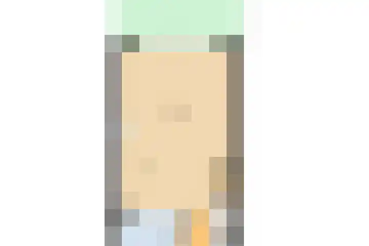 Rosmolen 28 Pijnacker thumbnail 43