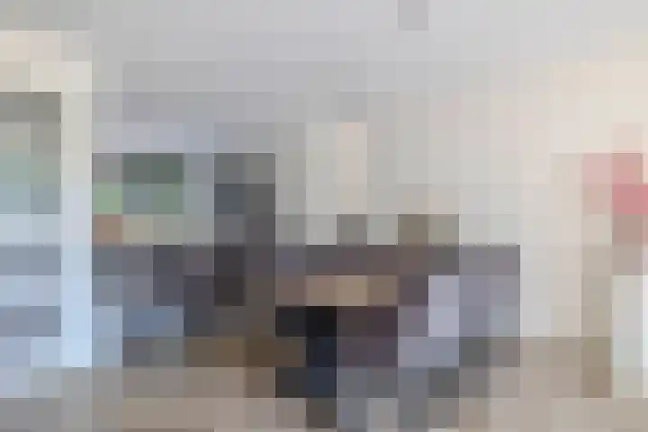 Rosmolen 28 Pijnacker thumbnail 6
