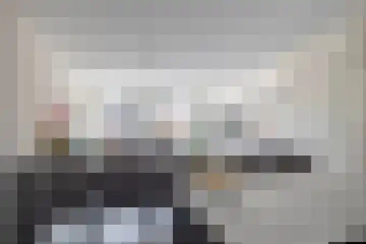 Rosmolen 28 Pijnacker thumbnail 7