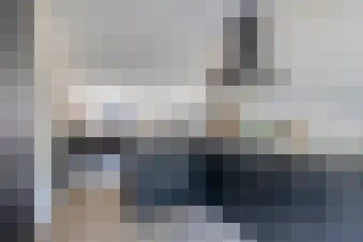 Rosmolen 28 Pijnacker thumbnail 8