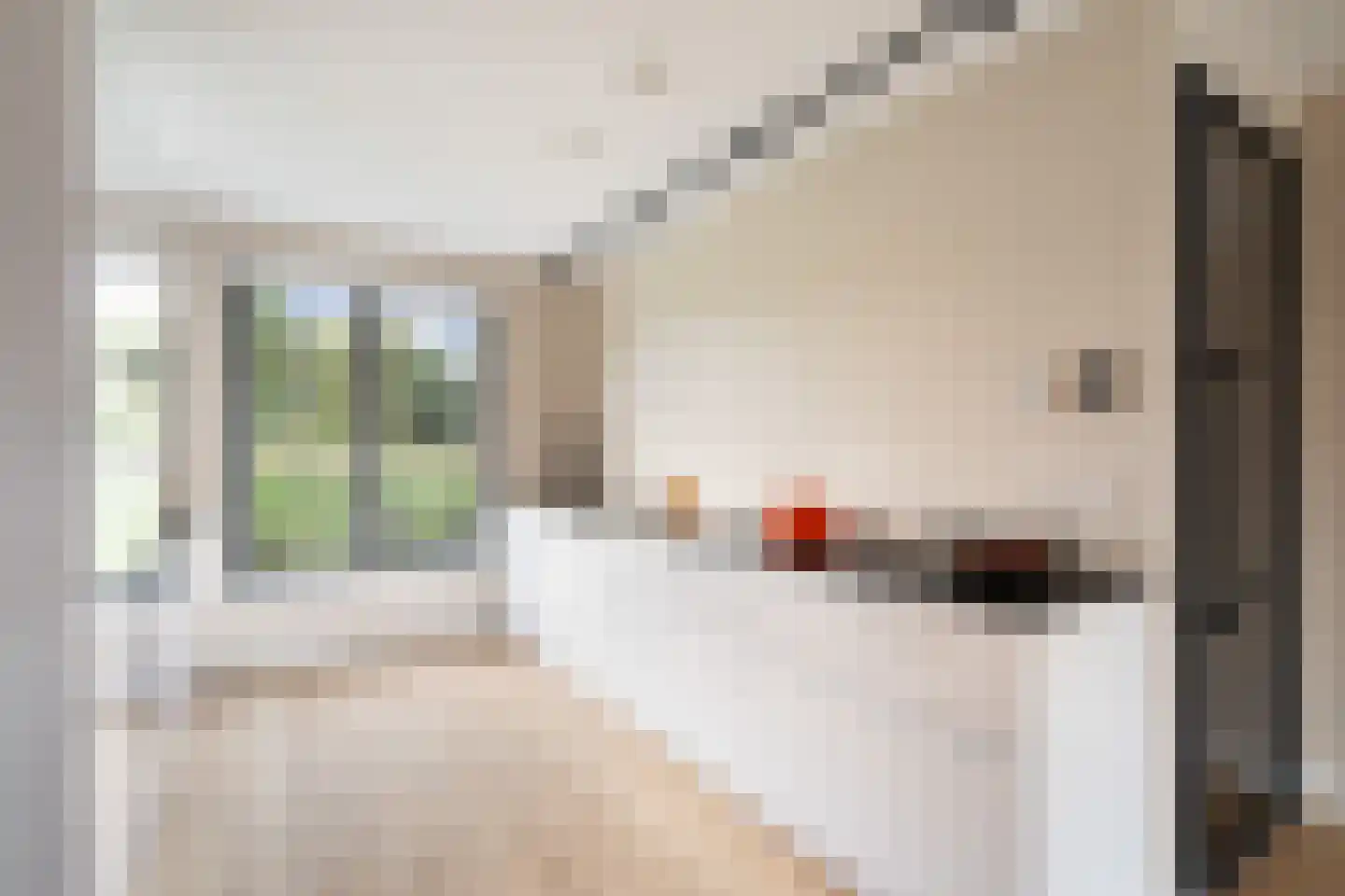 Rosmolen 29 Pijnacker thumbnail 15