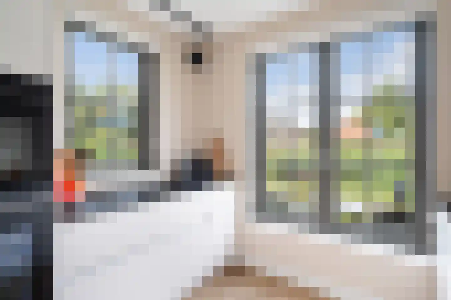 Rosmolen 29 Pijnacker thumbnail 17