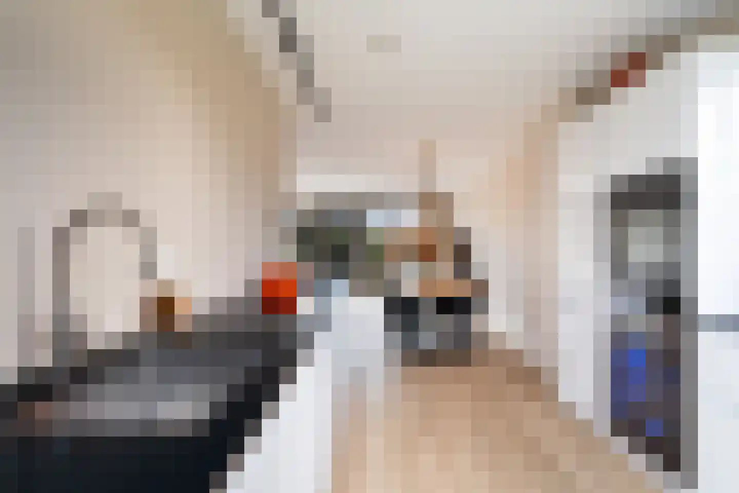 Rosmolen 29 Pijnacker thumbnail 18