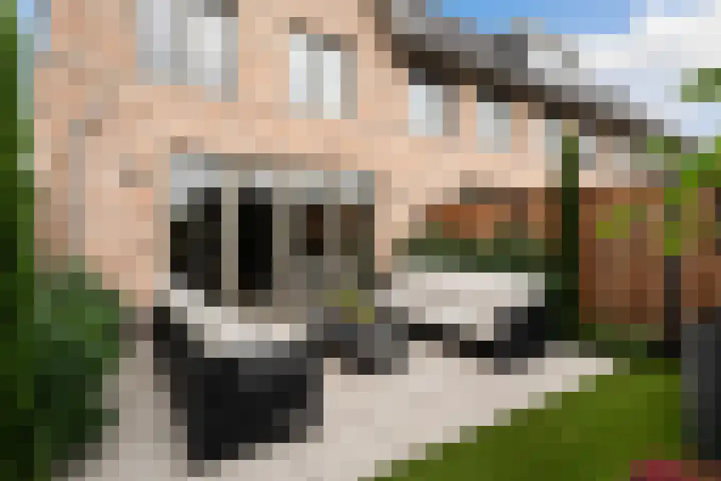 Rosmolen 29 Pijnacker thumbnail 22