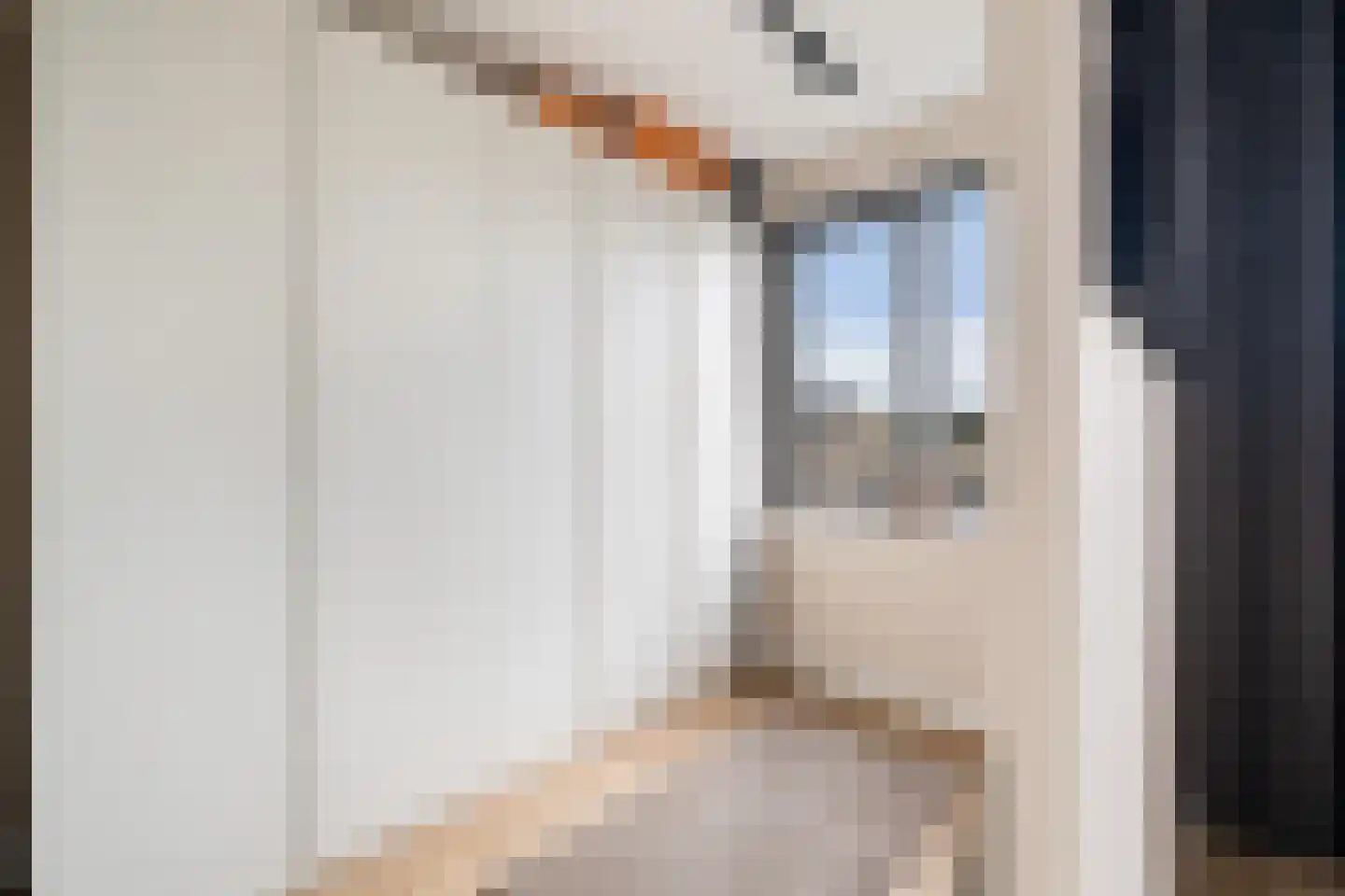 Rosmolen 29 Pijnacker thumbnail 29